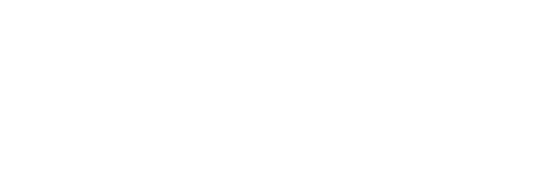 Skills for Chicago Logo